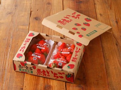 楽天市場】フルーツ 宅配便の通販